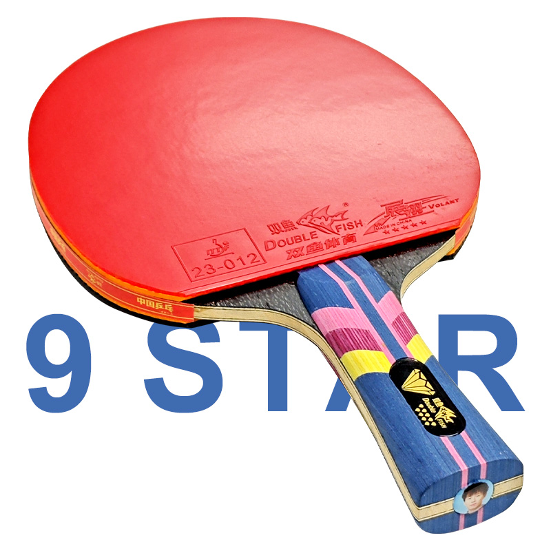 DOUBLE FISH Table Tennis Racke – Table Tennis Eleven Bewertung und Preis