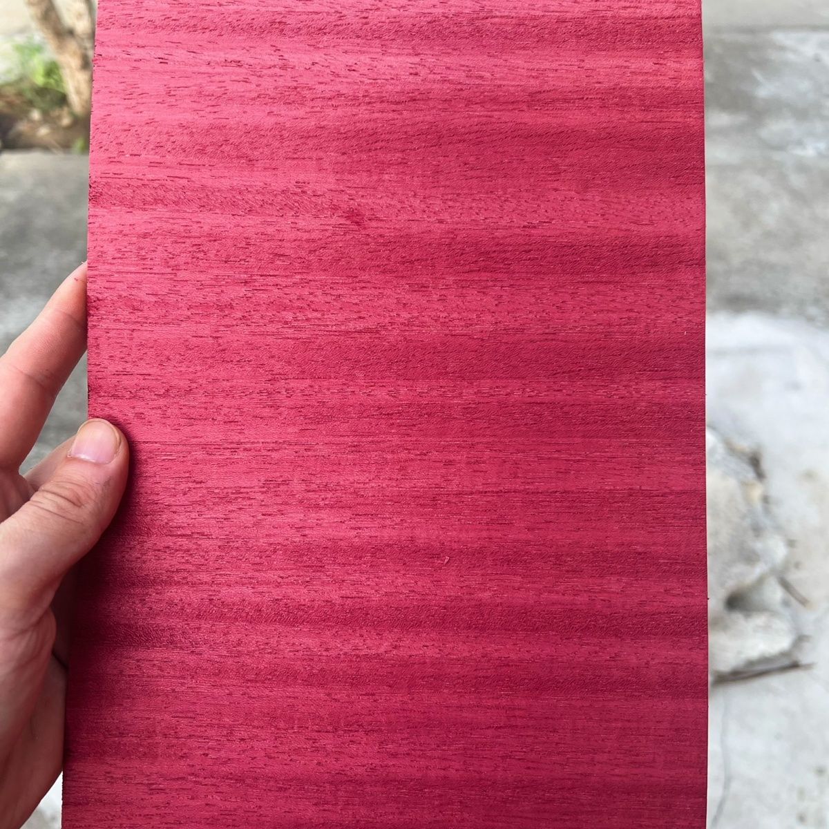 1.5MM  Dyed Red Ayus Table Ten – Table Tennis Eleven Bewertung und Preis