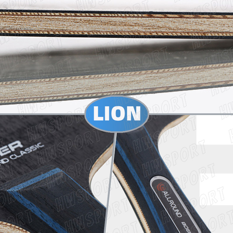 BOER LION DRAGON Table Tennis  – Table Tennis Eleven Bewertung und Preis