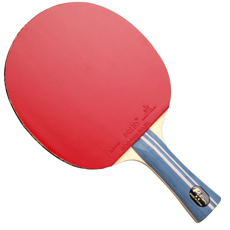 Original PALIO 2 Stars Table T – Table Tennis Db Bewertung und Preis