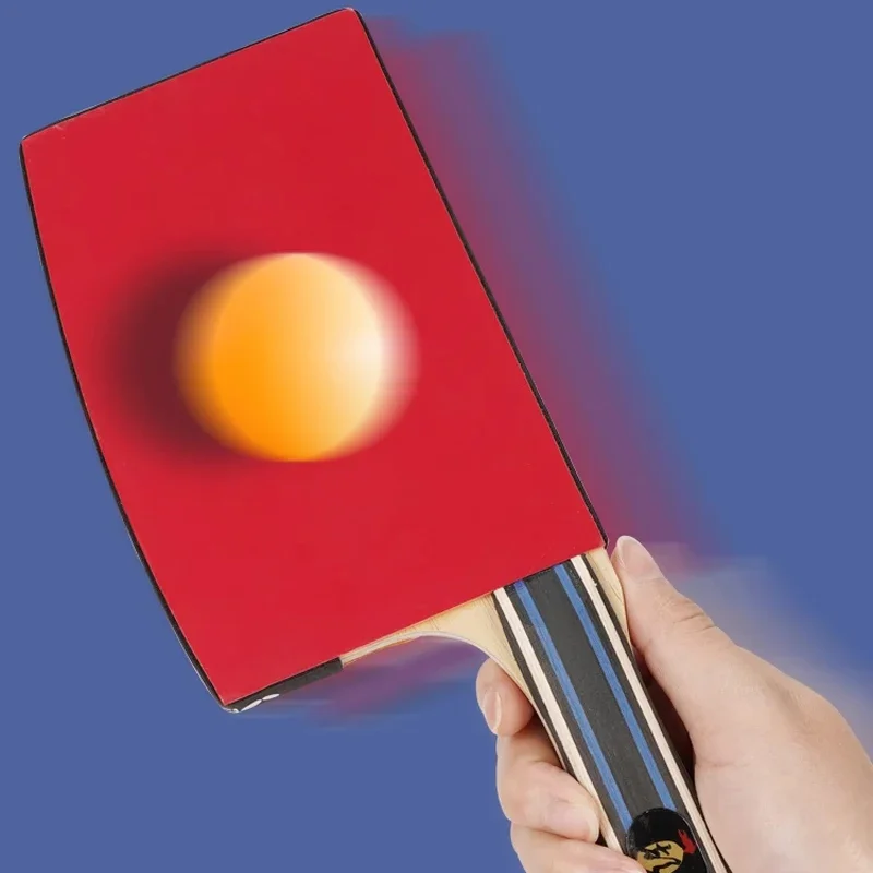 Special Shape Table Tennis Rac – Table Tennis Japan Bewertung und Preis