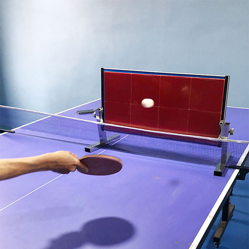 Home Table Tennis Rebound Boar – Table Tennis Eleven Bewertung und Preis