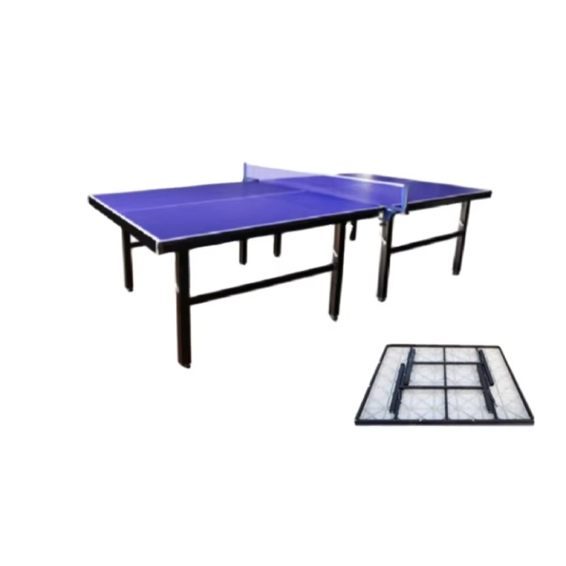 Hot Sale Approved Modern Luxur – Table Tennis Training Bewertung und Preis